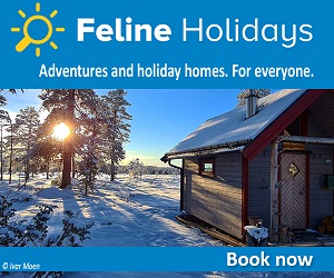 Feline Holidays - holiday homes and flats throughout Europe